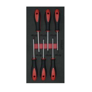 Juego de destornilladores con mango bimaterial punta Torx 6 piezas, CH129-C Urrea